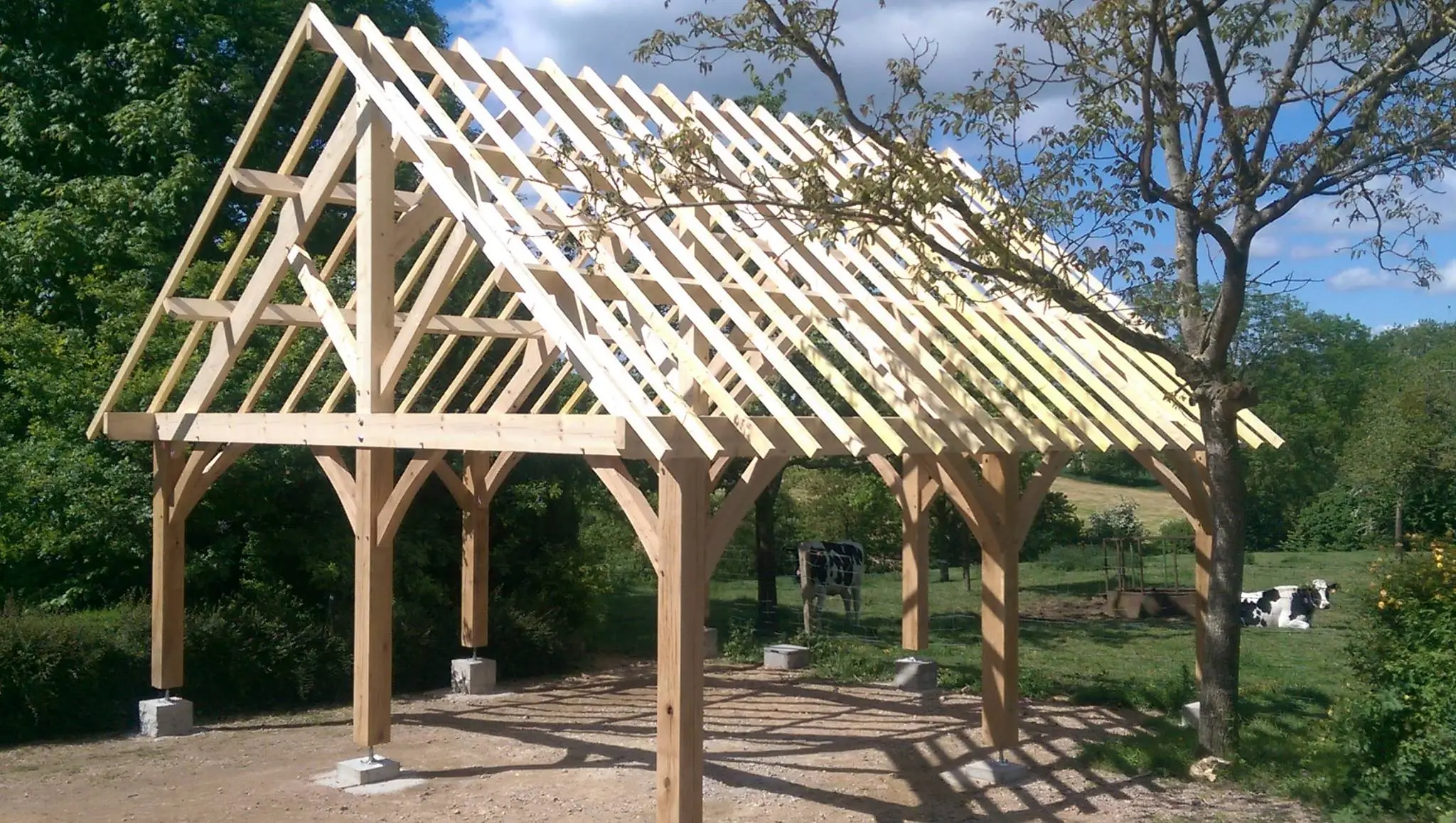 Car port en bois massif